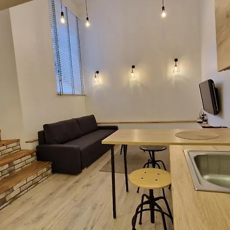 Zema5 Old Town Loft * Вильнюс