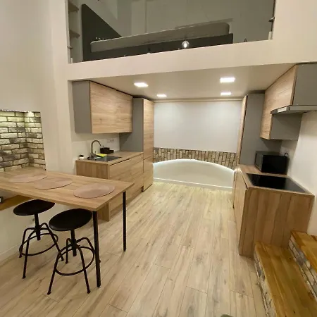 Zema5 Old Town Loft Lägenhet