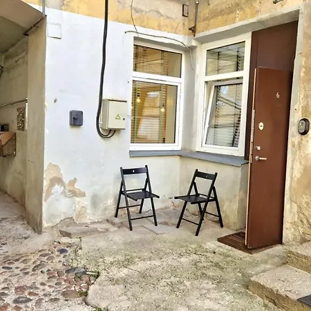 Zema5 Old Town Loft Вильнюс