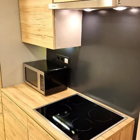 Zema5 Old Town Loft Вильнюс