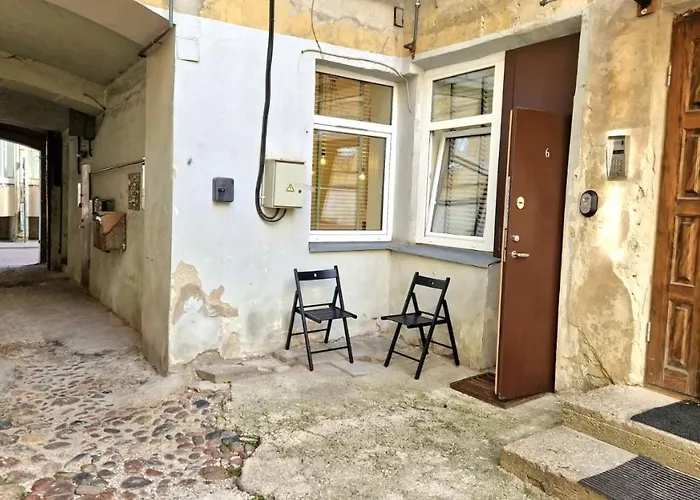 Zema5 Old Town Loft 维尔纽斯